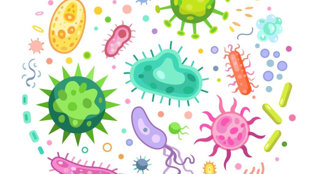 gut biome Vector illustration of various sized pathogen microorganisms on a white background