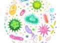 gut biome Vector illustration of various sized pathogen microorganisms on a white background