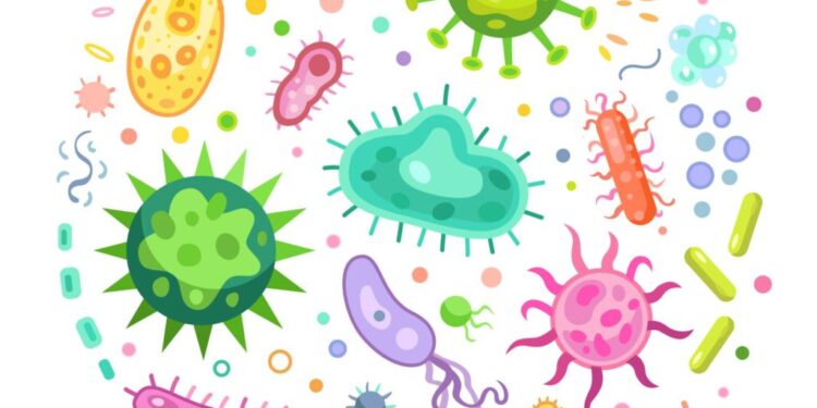 gut biome Vector illustration of various sized pathogen microorganisms on a white background