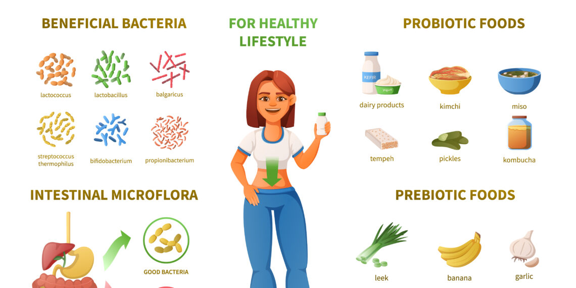 Probiotics infographics with female character illustrating the Benefits of a Healthy Gut Biome and Strategies to Maximize Nutrient Absorption