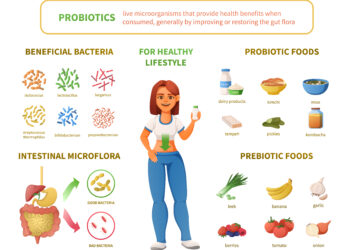 probiotics infographics healthy gut biome