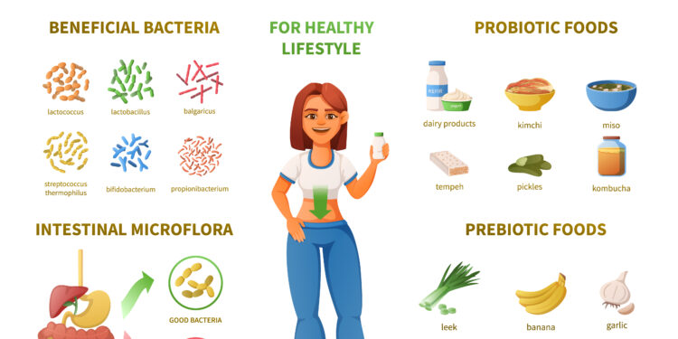 Probiotics infographics with female character illustrating the Benefits of a Healthy Gut Biome and Strategies to Maximize Nutrient Absorption