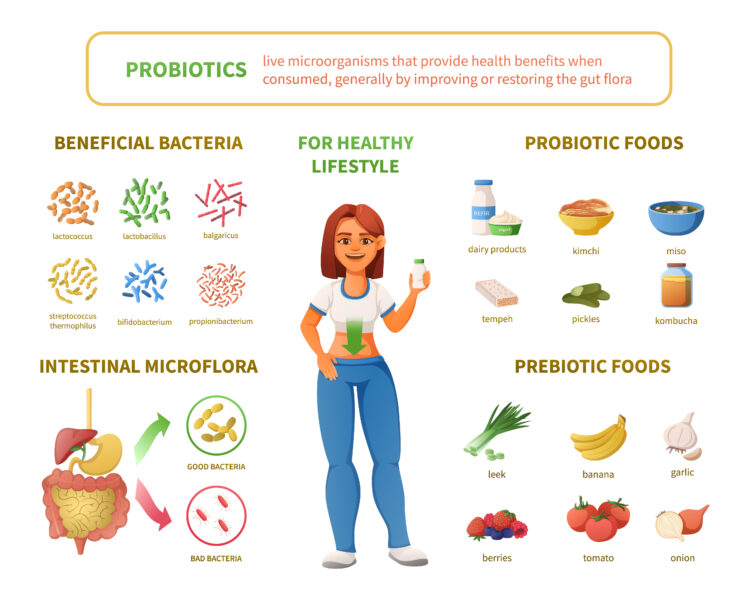 probiotics infographics healthy gut biome